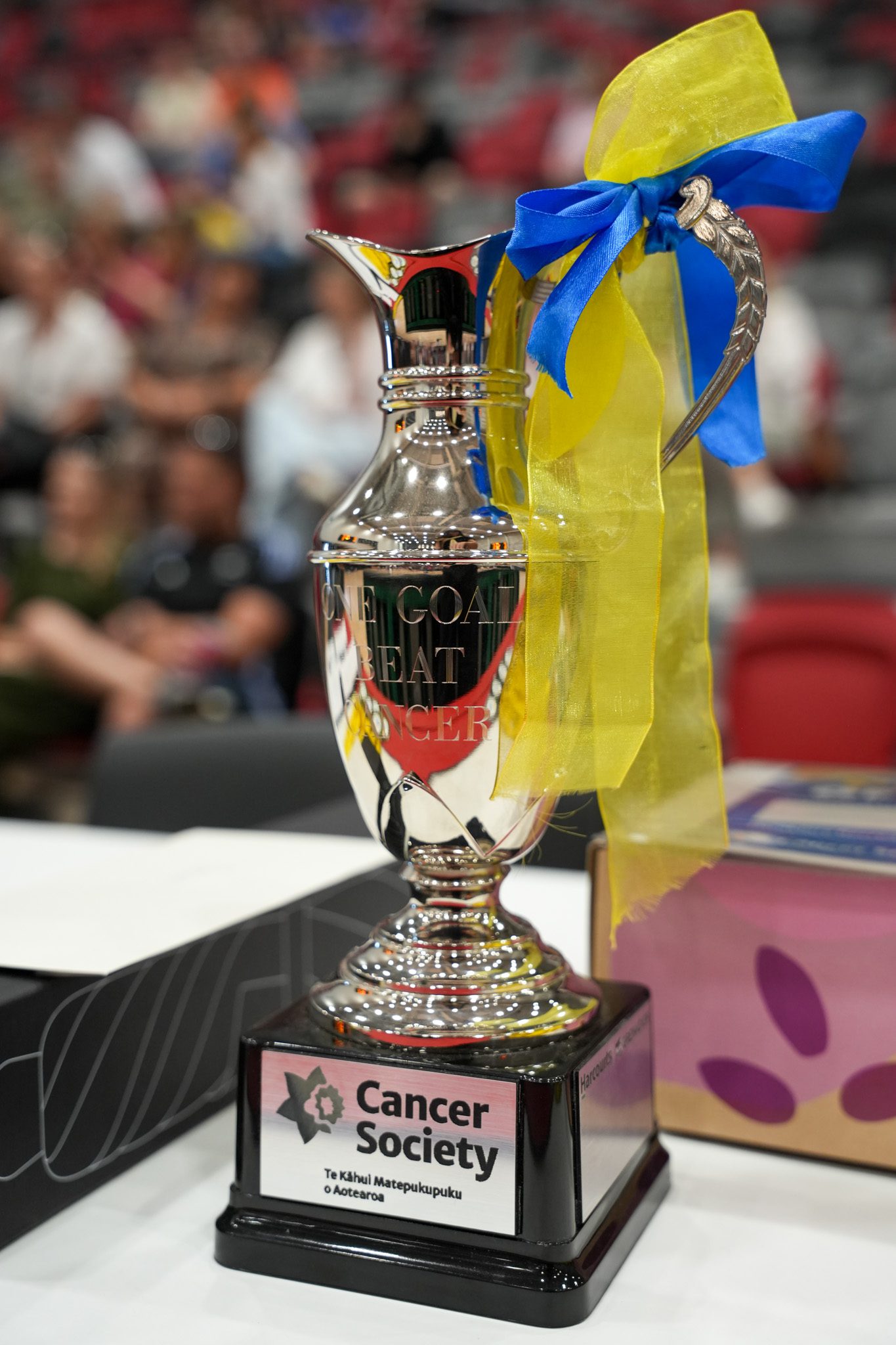 Cancer Society Southern One Goal Beat Cancer Celebrity Netball